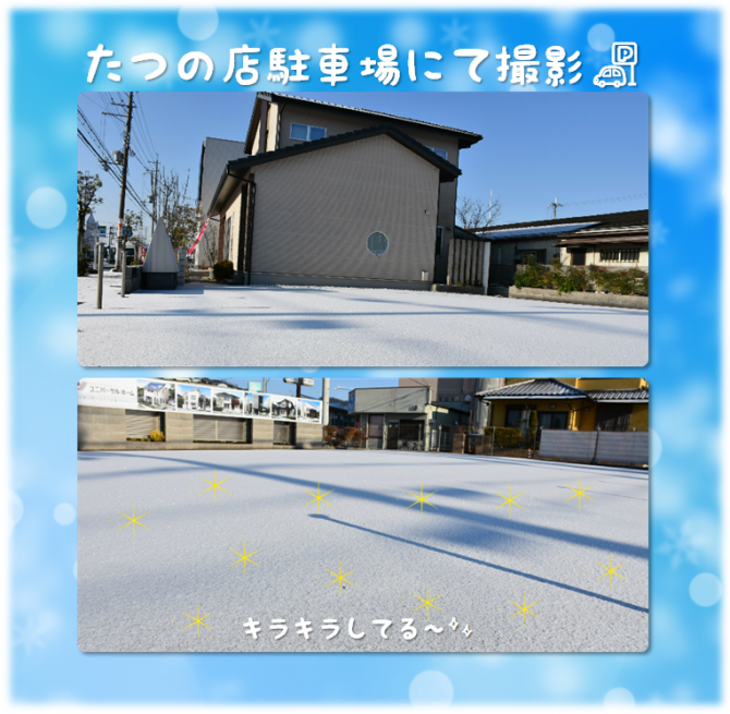 たつの店　雪
